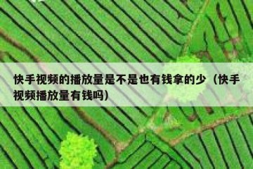 快手视频的播放量是不是也有钱拿的少（快手视频播放量有钱吗）