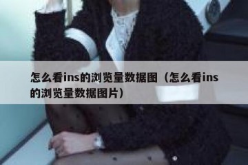 怎么看ins的浏览量数据图（怎么看ins的浏览量数据图片）
