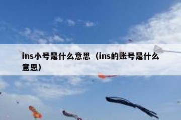 ins小号是什么意思（ins的账号是什么意思）