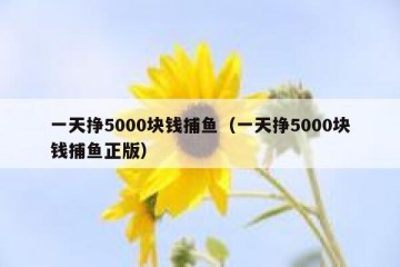 一天挣5000块钱捕鱼（一天挣5000块钱捕鱼正版）