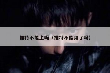 推特不能上吗（推特不能用了吗）