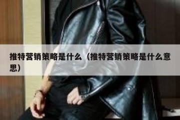 推特营销策略是什么（推特营销策略是什么意思）