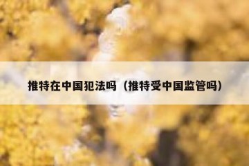 推特在中国犯法吗（推特受中国监管吗）