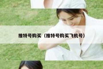 推特号购买（推特号购买飞机号）