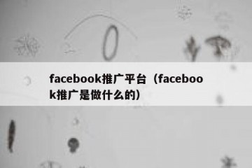 facebook推广平台（facebook推广是做什么的）