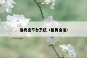 挂机宝平台系统（挂机宝挂）