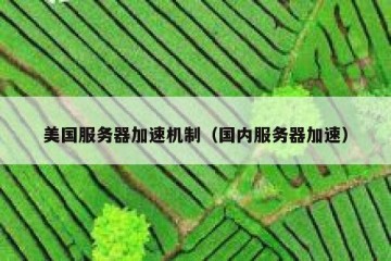 美国服务器加速机制（国内服务器加速）