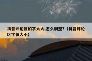 抖音评论区的字太大,怎么调整?（抖音评论区字体大小）