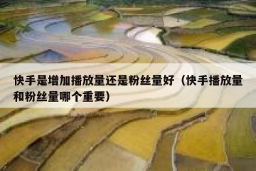 快手是增加播放量还是粉丝量好（快手播放量和粉丝量哪个重要）