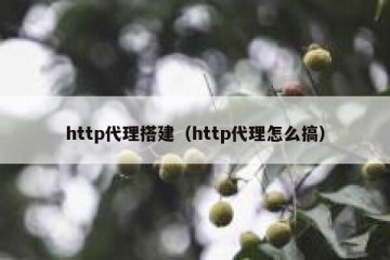 http代理搭建（http代理怎么搞）