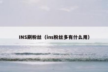 INS刷粉丝（ins粉丝多有什么用）