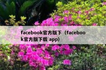 facebook官方版下（facebook官方版下载 app）