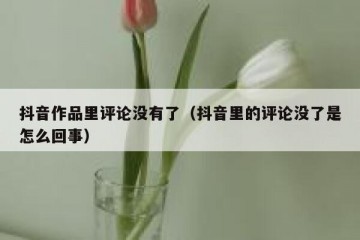 抖音作品里评论没有了（抖音里的评论没了是怎么回事）