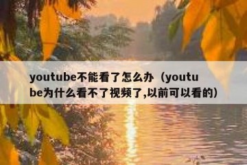 youtube不能看了怎么办（youtube为什么看不了视频了,以前可以看的）