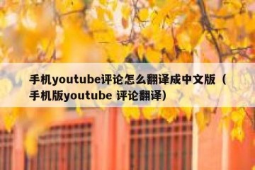 手机youtube评论怎么翻译成中文版（手机版youtube 评论翻译）