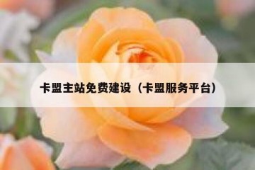 卡盟主站免费建设（卡盟服务平台）