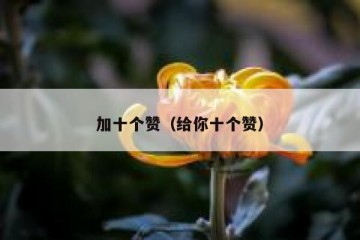 加十个赞（给你十个赞）