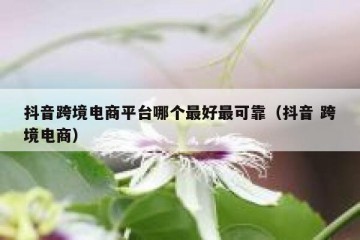 抖音跨境电商平台哪个最好最可靠（抖音 跨境电商）