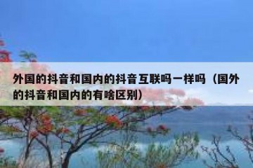 外国的抖音和国内的抖音互联吗一样吗（国外的抖音和国内的有啥区别）