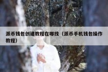 派币钱包创建教程在哪找（派币手机钱包操作教程）