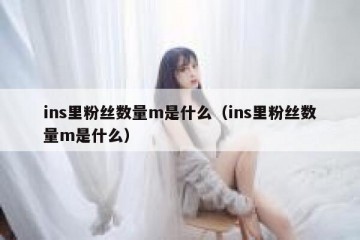 ins里粉丝数量m是什么（ins里粉丝数量m是什么）