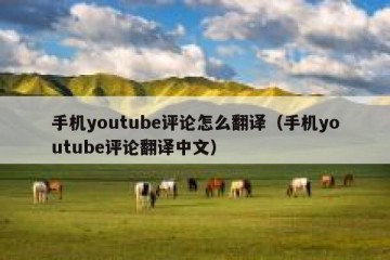 手机youtube评论怎么翻译（手机youtube评论翻译中文）