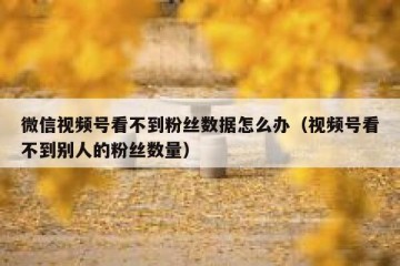 微信视频号看不到粉丝数据怎么办（视频号看不到别人的粉丝数量）