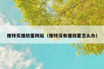 推特买播放量网站（推特没有播放量怎么办）