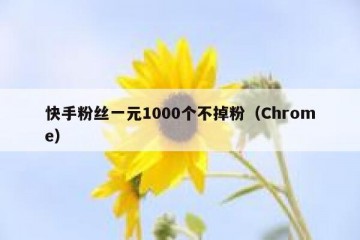 快手粉丝一元1000个不掉粉（Chrome）