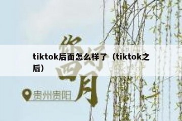 tiktok后面怎么样了（tiktok之后）