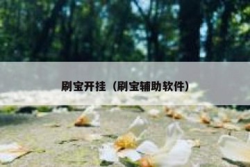 刷宝开挂（刷宝辅助软件）