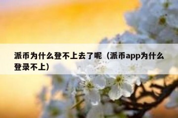 派币为什么登不上去了呢（派币app为什么登录不上）