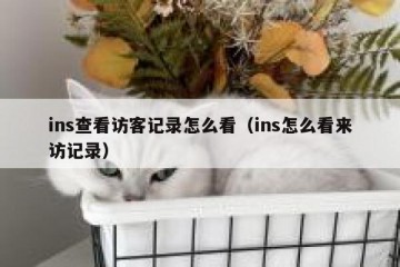 ins查看访客记录怎么看（ins怎么看来访记录）