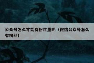 公众号怎么才能有粉丝量呢（微信公众号怎么有粉丝）