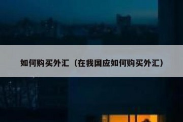 如何购买外汇（在我国应如何购买外汇）