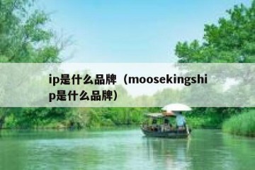 ip是什么品牌（moosekingship是什么品牌）