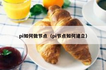 pi如何做节点（pi节点如何建立）