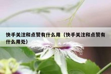 快手关注和点赞有什么用（快手关注和点赞有什么用处）