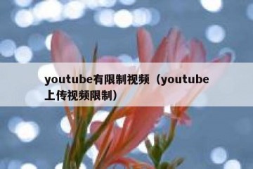 youtube有限制视频（youtube上传视频限制）
