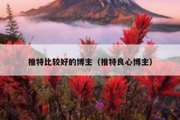 推特比较好的博主（推特良心博主）