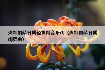 火红的萨日朗轻快纯音乐dj（火红的萨日朗dj舞曲）