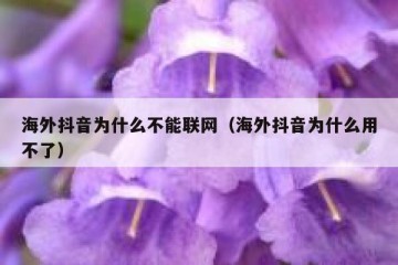 海外抖音为什么不能联网（海外抖音为什么用不了）