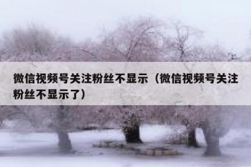 微信视频号关注粉丝不显示（微信视频号关注粉丝不显示了）