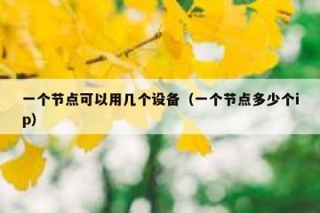 一个节点可以用几个设备（一个节点多少个ip）