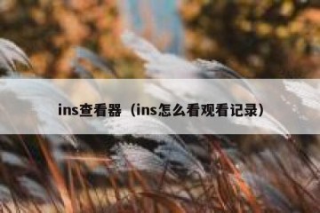 ins查看器（ins怎么看观看记录）