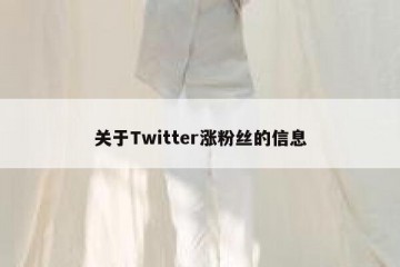 关于Twitter涨粉丝的信息