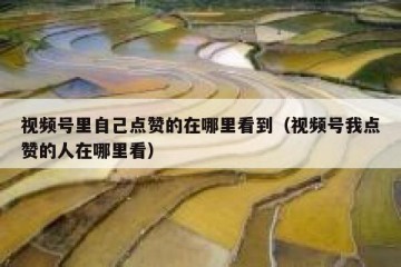视频号里自己点赞的在哪里看到（视频号我点赞的人在哪里看）