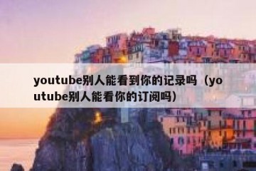 youtube别人能看到你的记录吗（youtube别人能看你的订阅吗）