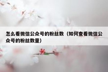 怎么看微信公众号的粉丝数（如何查看微信公众号的粉丝数量）