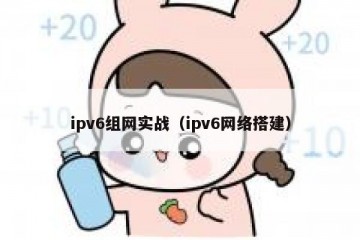 ipv6组网实战（ipv6网络搭建）